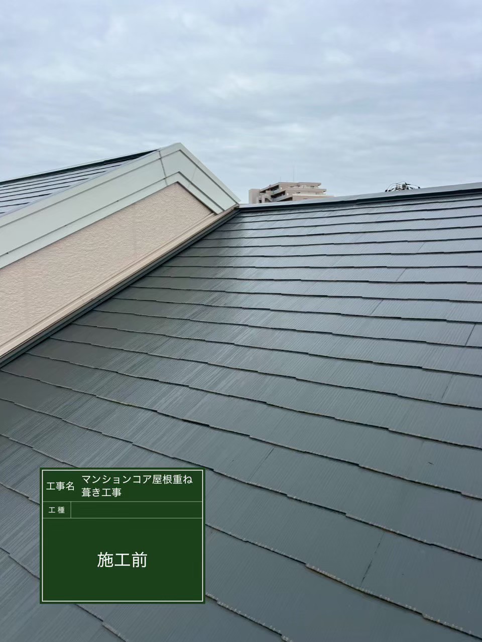 千葉市中央区で屋根カバー工法〈マンションの点検口からの雨漏り修理〉の施工前写真